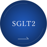 SGLT2