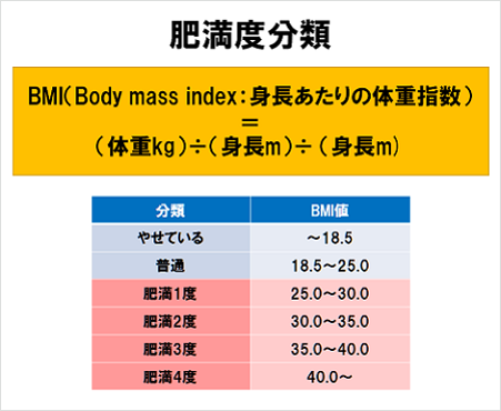 高度肥満とは