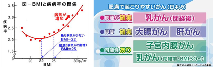 高度肥満が健康に及ぼす影響