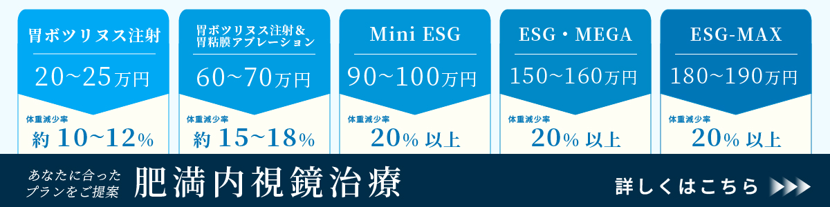 肥満内視鏡治療LP