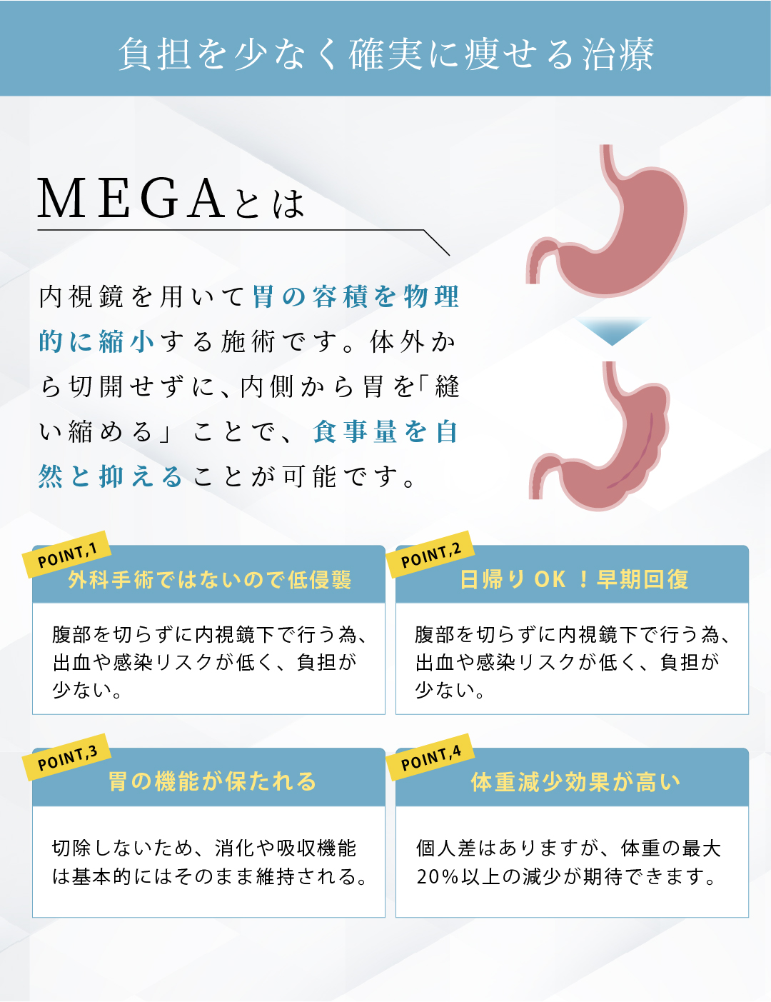 MEGA_3