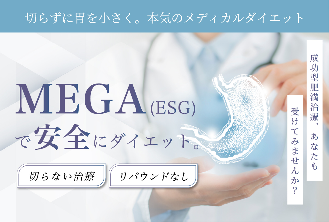 MEGA_1