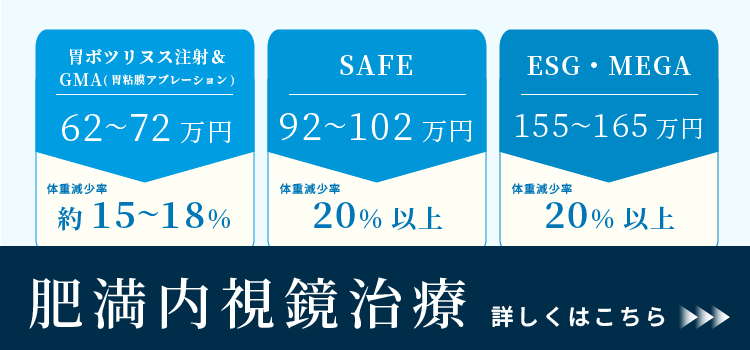 肥満内視鏡治療LP