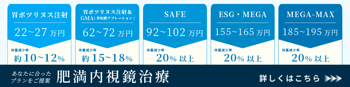 肥満内視鏡治療LP