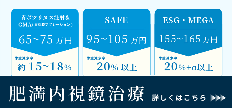肥満内視鏡治療LP