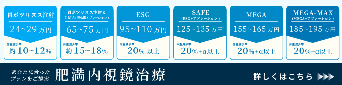 肥満内視鏡治療LP